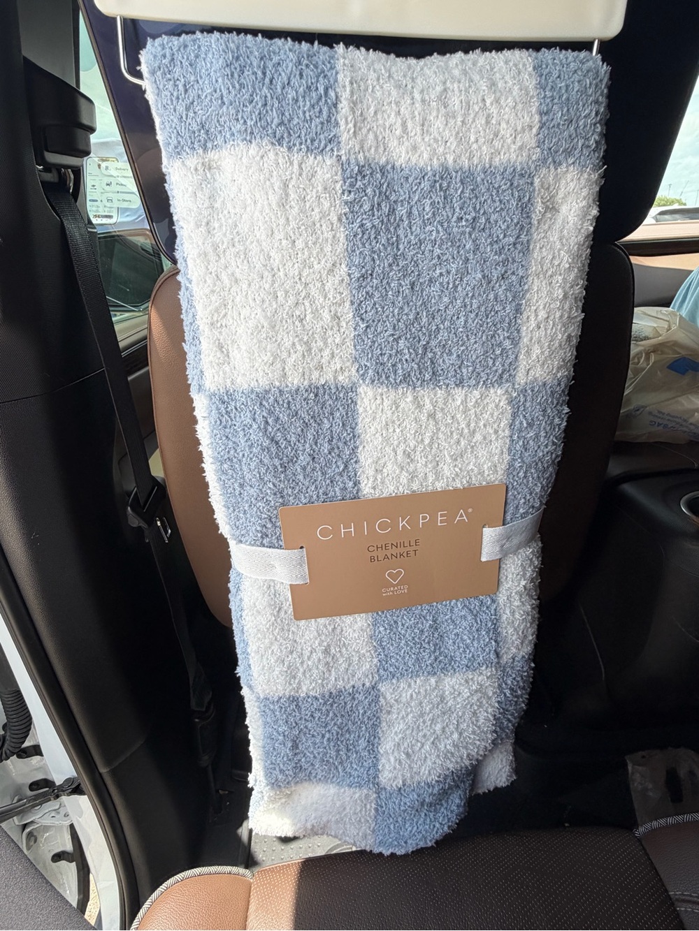 chick pea Blue & White Chenille Check Throw